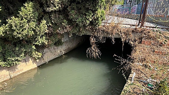 Rescatan a una mujer y su perro al caer a la Acequia de Moncada
