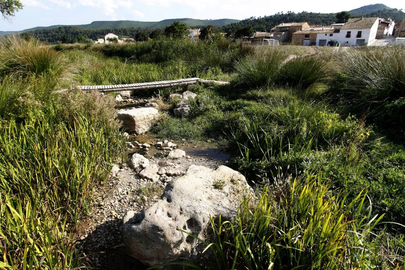 Río Magro. Estado actual del cauce.