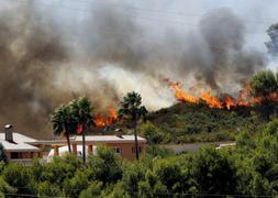 Valencia hace frente a un incendio intencionado «de los más feroces» que amenaza una zona de gran valor ecológico