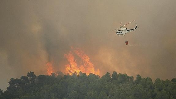 Incendio forestal en Tivissa. 