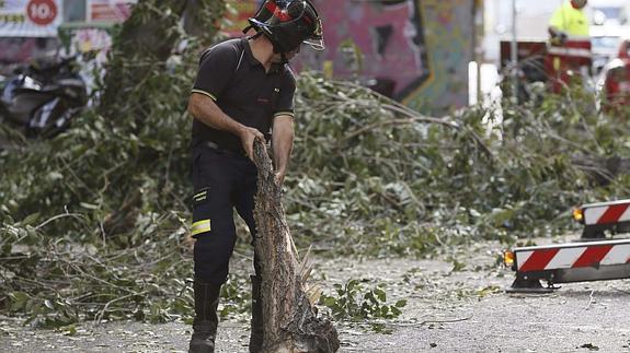 Una de las ramas que han caído en Madrid en los últimos días.