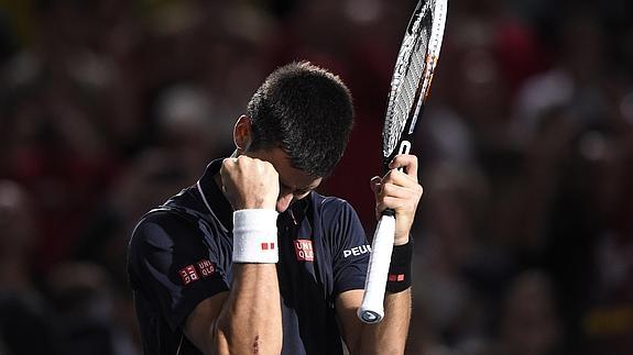 Novak Djokovic celebra su triunfo. 