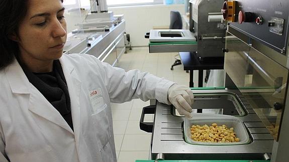Una de las investigadoras del centro valenciano probando el bioplástico. 