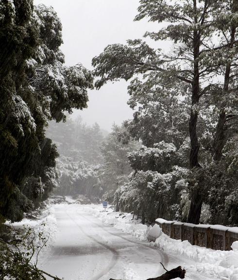 La nieve ha llegado a Palma de Mallorca. 