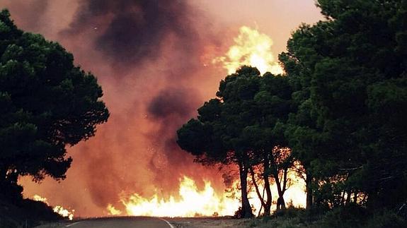 Imagen del incendio en una zona de arbolado y monte bajo en el término municipal de Luna. 