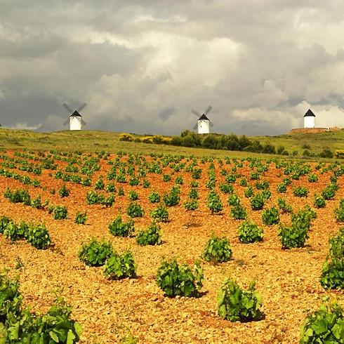 Viñedos y molinos de Castilla-La Mancha