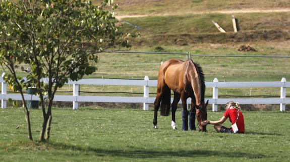 Un caballo olímpico tras una sesión de entrenamientos en Río. 