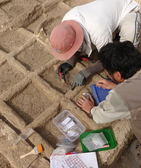 Los arqueólogos trabajan en el lugar del descubrimiento. 