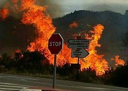 El fuego declarado en Chóvar esta tarde. / Javier Moliner