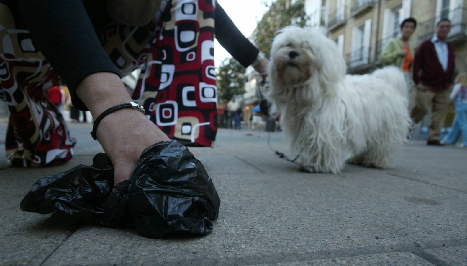 Una mujer recoge los excrementos de su perro