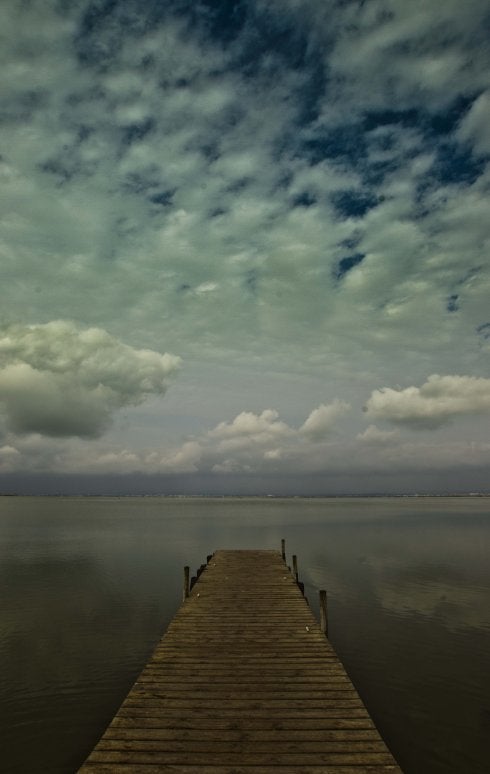 Los grandes males de la Albufera