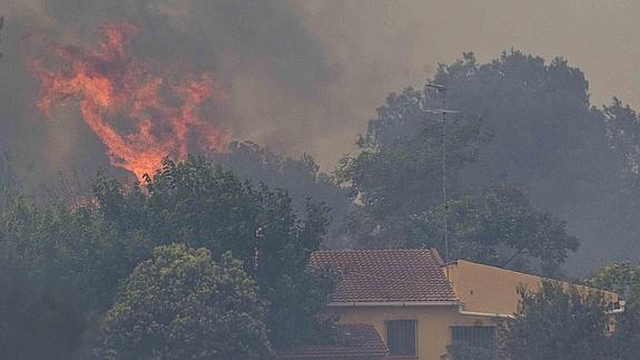 El incendio forestal que tuvo lugar la semana pasada en Ribarroja.