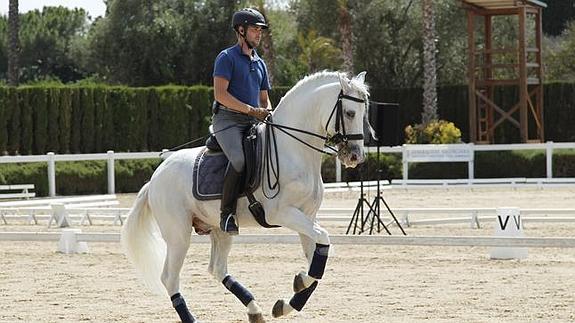 Uno de los participantes de la Feria Internacional del Caballo celebrada en Godella. 