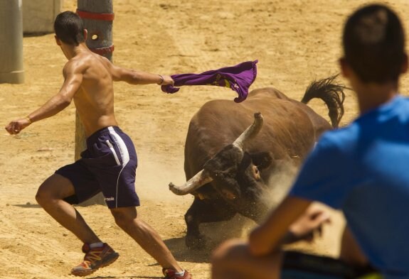 Un joven recorta al toro pasando muy cerca de sus astas. :: damián torres