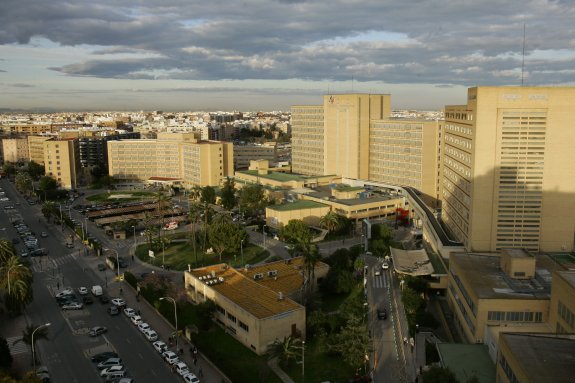Vista de los pabellones del Hospital La Fe en Campanar. :: Jesús Signes