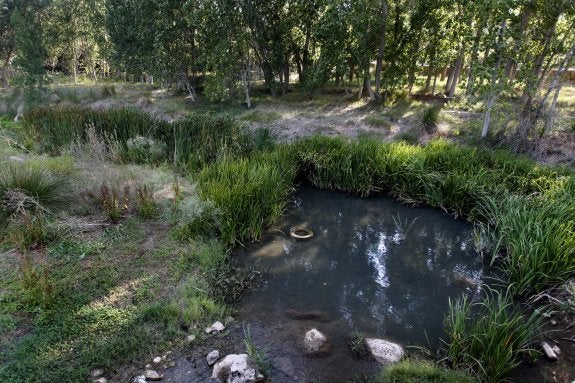 Una de las pequeñas balsas que quedan en el río Magro, a la altura de la aldea de Hortunas, el pasado viernes. :: jesús signes