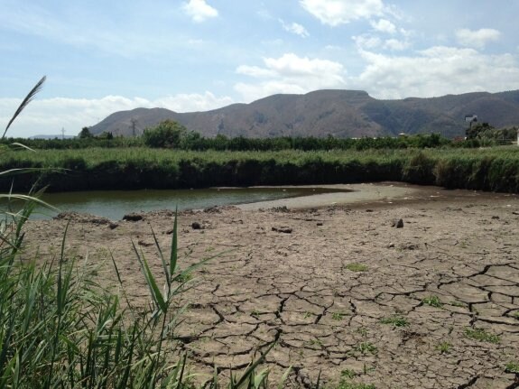 El Ullal Gran tiene cada vez menos agua fruto de la importante sequía. :: lp