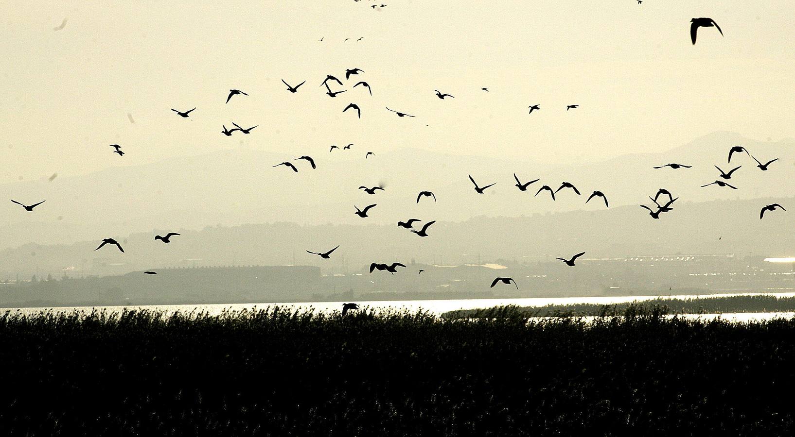 La Albufera de Valencia.