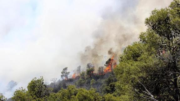 Incendio en Domeño