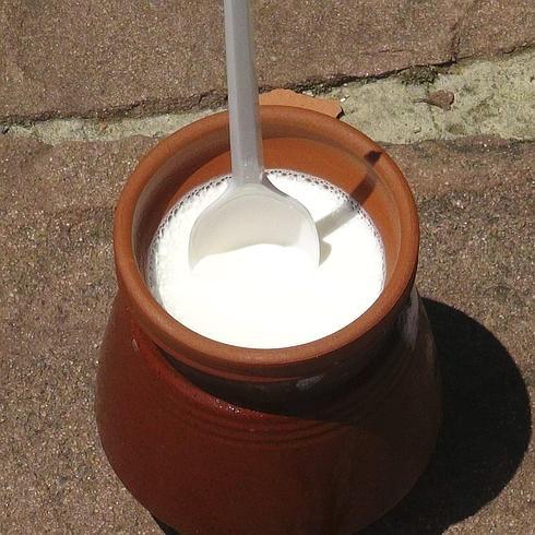 El yogur búlgaro: un elixir de longevidad y un verdadero milagro dietético