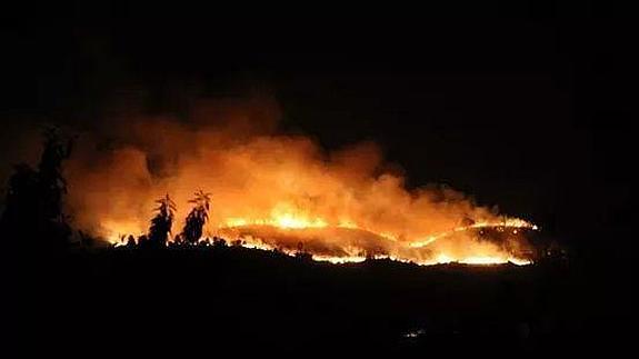 El incendio forestal de Beniarrés ha sido intencionado