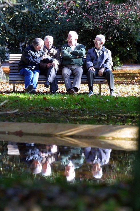 Un grupo de jubilados conversan en un parque. :: n. gonzález