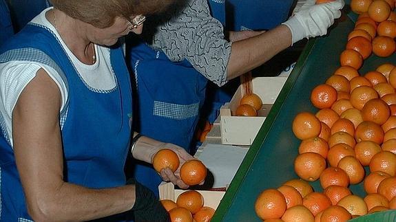 Mujeres trabajando en un almacén de naranjas.