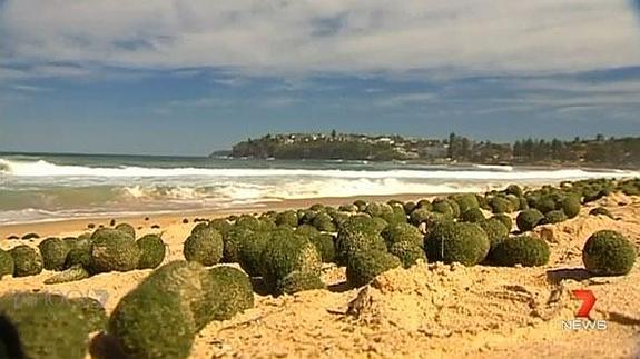 Las bolas, en el Dee Why Beach.