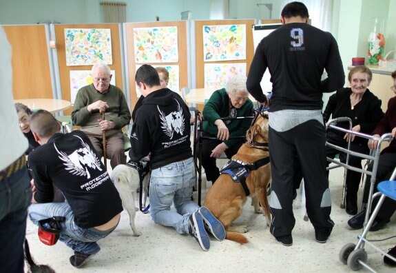 Voluntarios de la protectora, en uno de los proyectos realizados con perros y mayores. :: lp