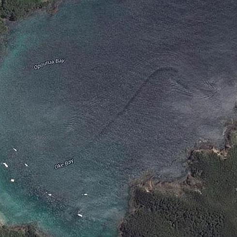 Identifican a un monstruo marino gracias a una imagen de Google Maps.