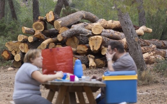 Dos personas comen junto a troncos de pinos talados por la plaga en la Calderona. :: damián torres