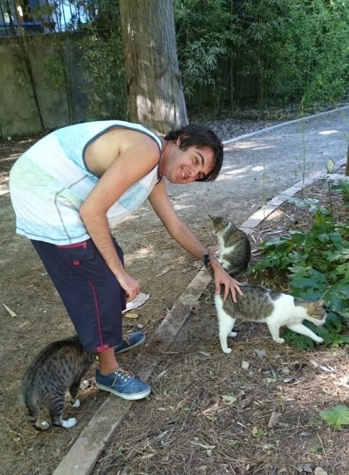 Un voluntario, cuidando gatos en el Botánico. :: lp