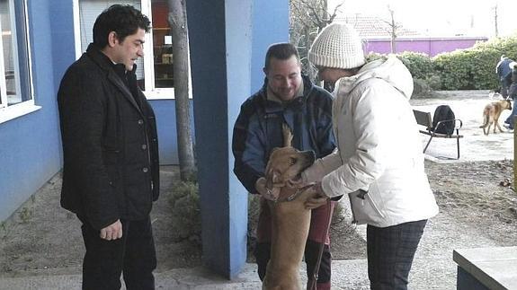 Teresa Romero y su marido adoptan a un perro en Alcorcón