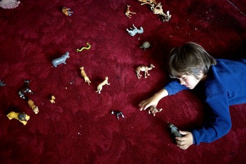 Un niño juega con muñecos que reproducen animales. :: ap