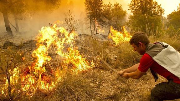 Casi la mitad de los incendios forestales que hay en la Comunitat no se esclarecen