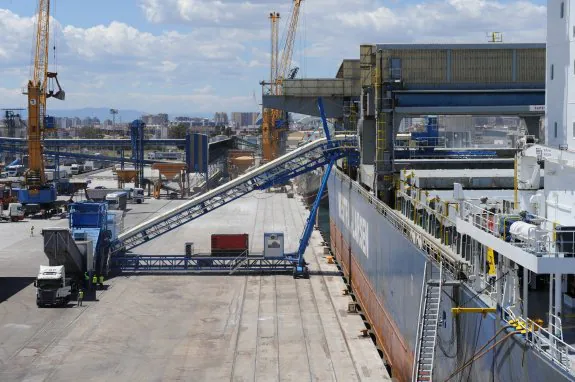 Las instalaciones de Terminal Marítima de Graneles en plena actividad en el puerto de Valencia.:: LP