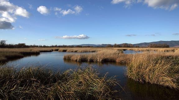 Vistas del Parque Nacional de las Tablas de Daimiel, Ciudad Real.