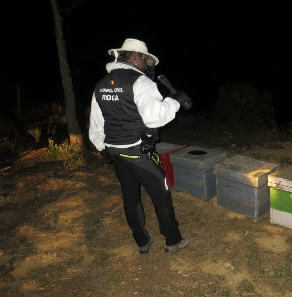 Un guardia civil inspecciona varias colmenas. :: guardia civil