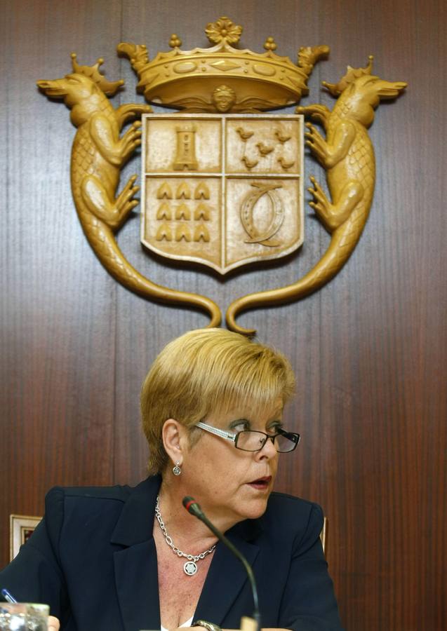 Martínez en el pleno de hoy. 