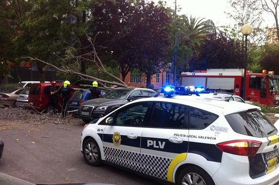 El viento causó destrozos en la avenida de Aragón.