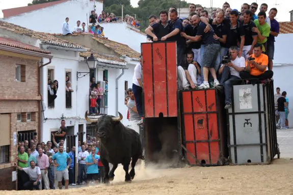 Salida de un toro de José Luis Pereda en 2014.  :: a. llanesMoreta templando la embestida del toro. :: rullot