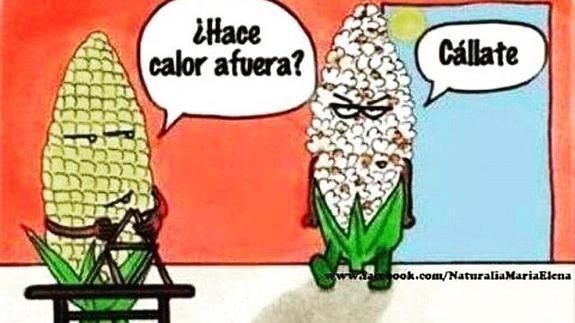El origen de los memes
