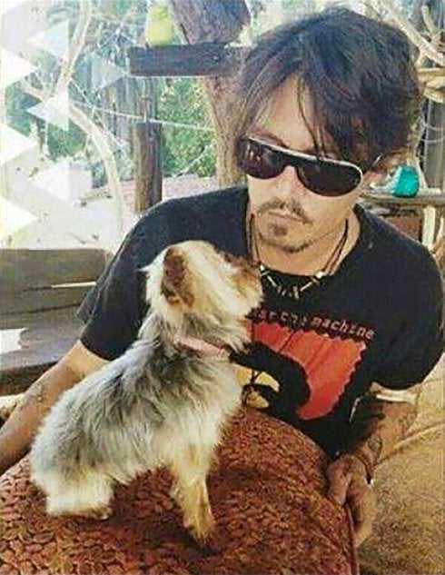 Depp, con uno de sus perros. :: RC