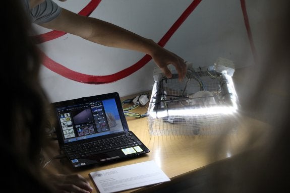 Un robot que explora la Albufera