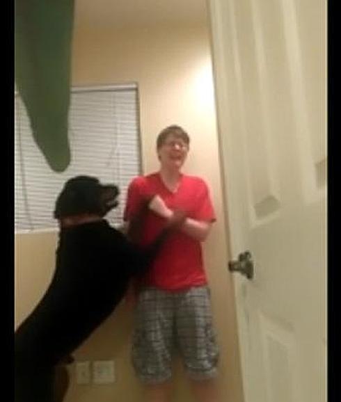 El perro que ayuda a una joven con Asperger a superar una crisis de ansiedad