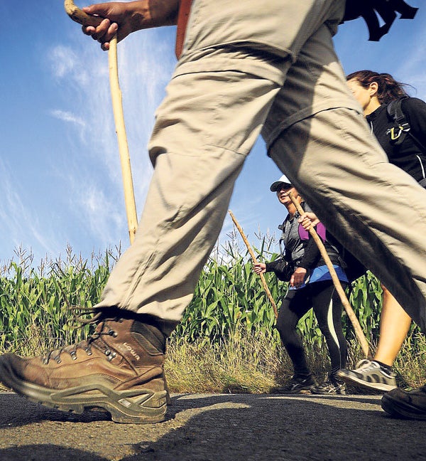 Varios peregrinos caminan junto a los maizales en A Rabiña, a 25 kilómetros de la meta, en la Plaza del Obradoiro de Santiago.