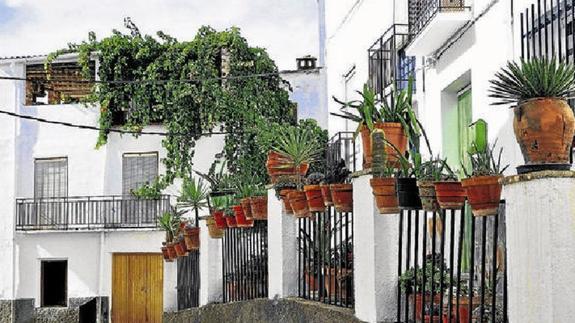 No se ve un alma por la calle durante el día. Salvo los obreros de la construcción, que no tienen más remido.