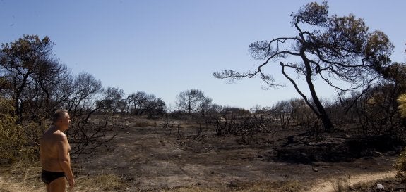 Un bañista observa los estragos del incendio de este jueves en El Saler. :: damián torres