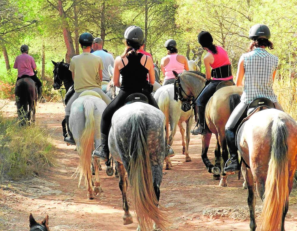 Desde esta localidad se realizan excursiones por la sierra de la Calderona.