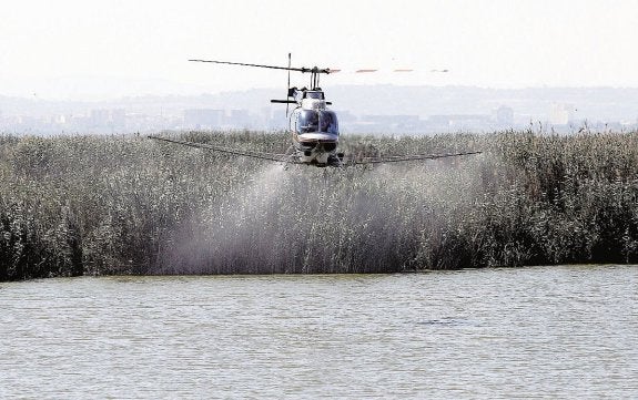 Fumigación con helicóptero en una zona de la Albufera. :: efe/juan carlos cárdenas